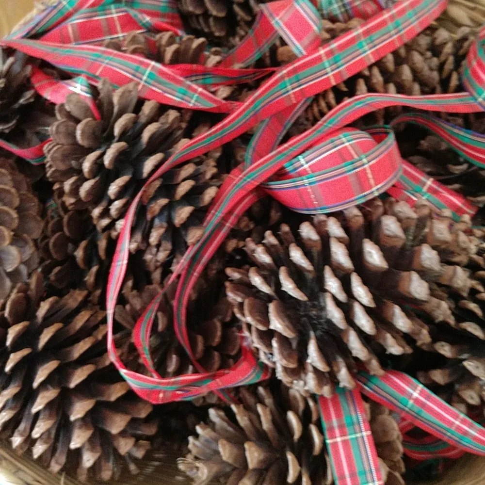 CHRISTMAS PAIR of GIANT Plaid Ribbon Festooned Pinecones